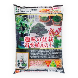 Terriccio misto per bonsai e piante - 10 lt