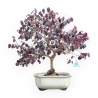 Loropetalum - 56 cm