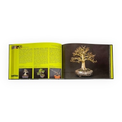 Bonsai Shohin Passion - R. Schatzer