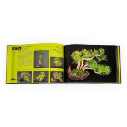 Bonsai Shohin Passion - R. Schatzer