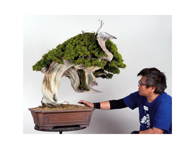 Workshop para entusiastas con el maestro MASAYUKI FUJIKAWA