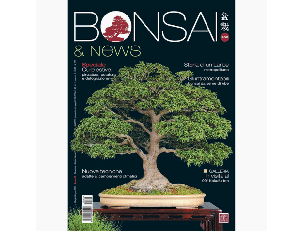 BONSAI & news 209 mayo-junio de 2025