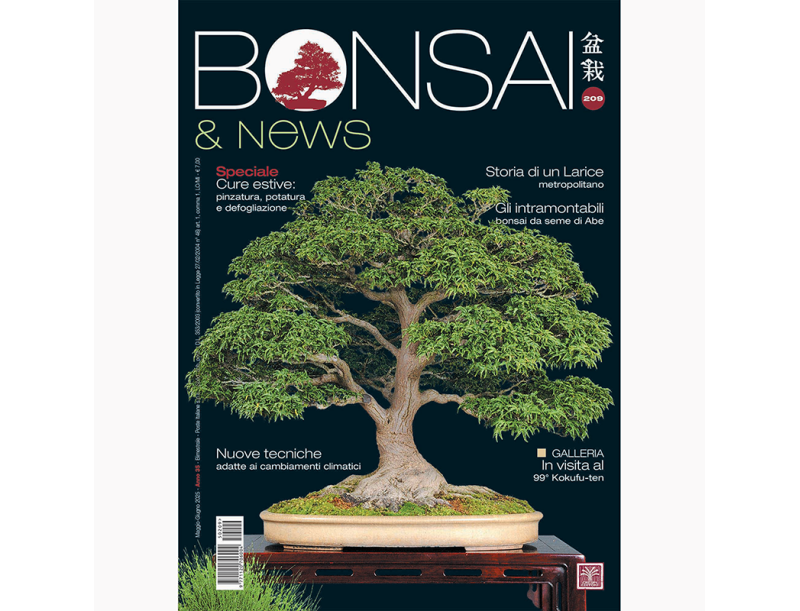BONSAI & news 209 May-June 2025