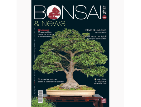 BONSAI & news 209 maggio-giugno 2025