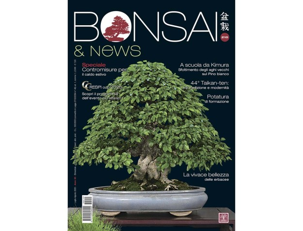 BONSAI & news 210 julio-agosto de 2025