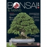 BONSAI & news 210 juillet-août 2025
