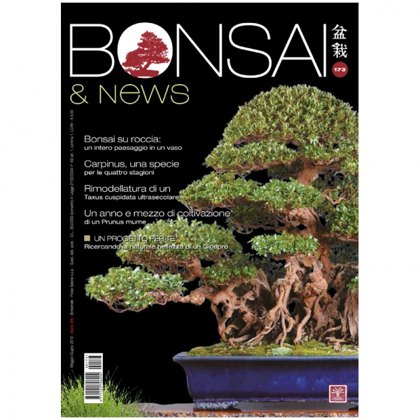 BONSAI & news 173 - May-June 2019