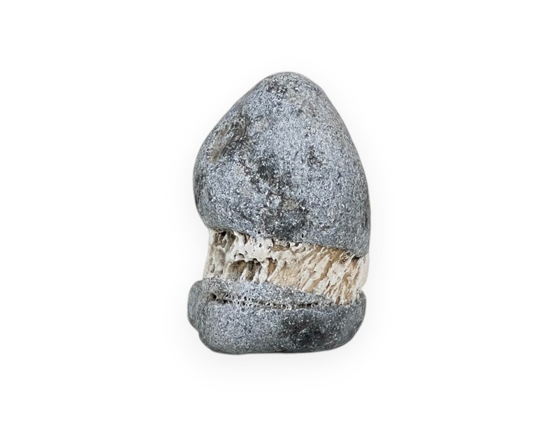 Suiseki Capanna in pietra - 6 cm