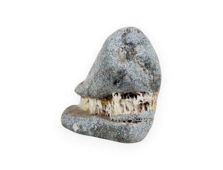 Suiseki Capanna in pietra - 6 cm