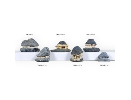 Suiseki Stone Hut - 4 cm