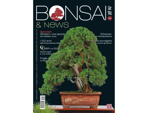 BONSAI & news 211 septiembre-octubre de 2025