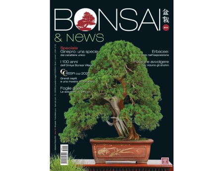 BONSAI & news 211 September-October 2025