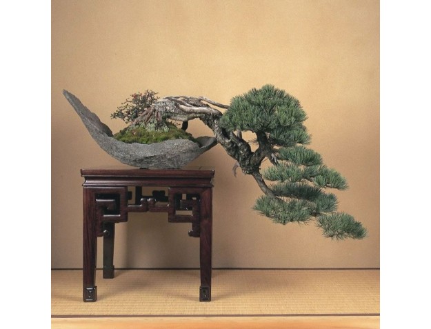 Curso Crespi para principiantes | Parabiago Abril