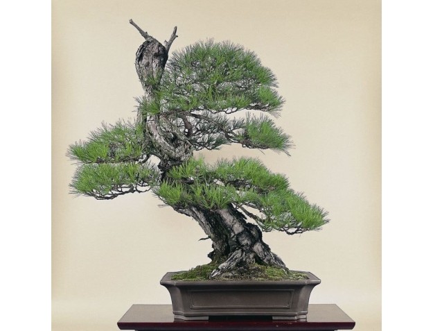 Korte cursus Milaan - oktober 2018