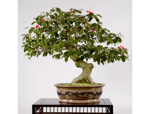 Cours de courte durée à Milan - novembre 2018