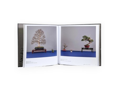 Aki-Ten Brixen : le livre officiel de l'exposition de bonsaïs