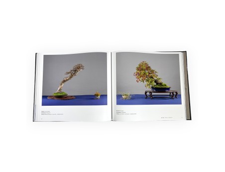 Aki-Ten Brixen: Het officiële bonsai-tentoonstellingsboek
