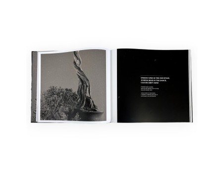 Aki-Ten Brixen: Het officiële bonsai-tentoonstellingsboek