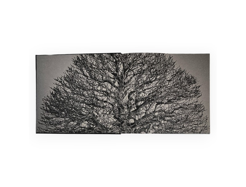 Aki-Ten Brixen: Het officiële bonsai-tentoonstellingsboek