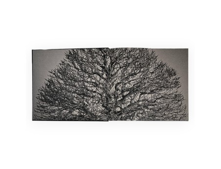 Aki-Ten Brixen: Het officiële bonsai-tentoonstellingsboek