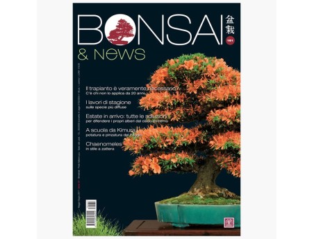 BONSAI & news 161 - Maggio-Giugno 2017