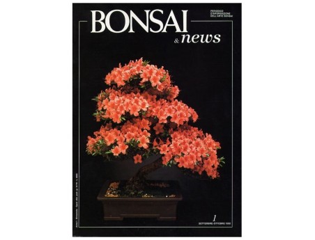 BONSAI & news n.   1 - Settembre-Ottobre 1990