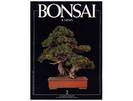 BONSAI & news n.   2 - Novembre-Dicembre 1990