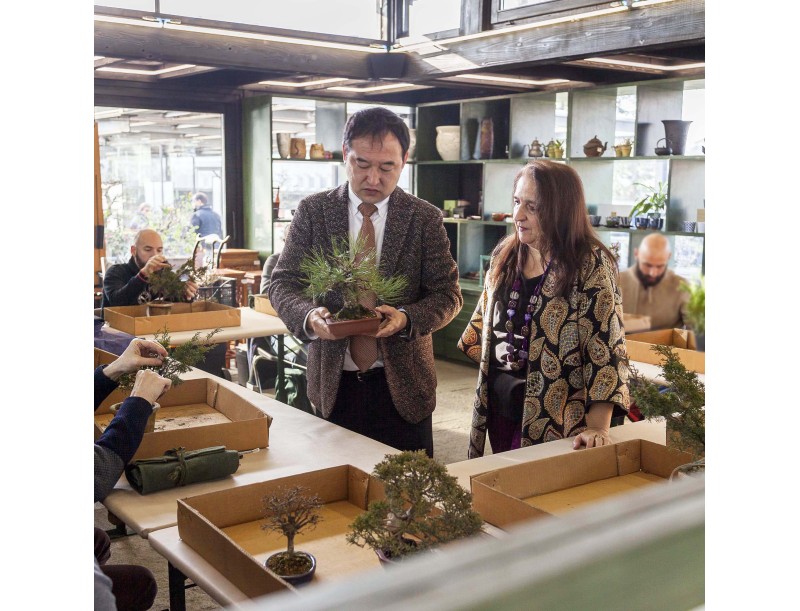 Corso Bonsai Shohin con Hiroki Miura – 7 Marzo 2025