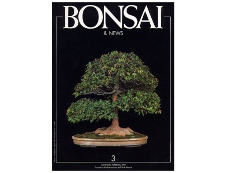 BONSAI & news n.   3 - Gennaio-Febbraio 1991