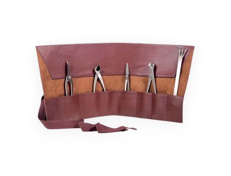 Ryuga 5 steel tools set