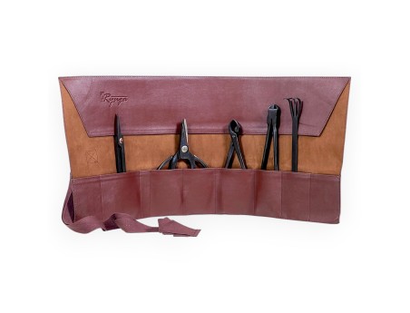 Set attrezzi per bonsai da 5 pz