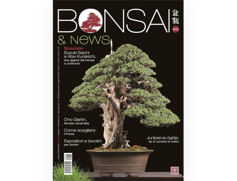 Bonsai & News | Crespi Bonsai Magazine: Bonsai Culture and Techniques