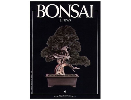 BONSAI & news n.   6 - Luglio-Agosto 1991