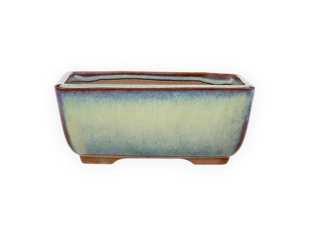 Pot rectangulaire en grès émaillé pour bonsaïs japonais - 12 cm