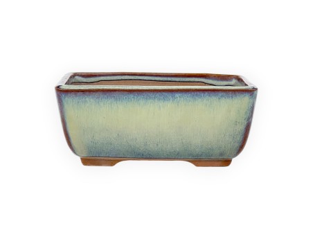 Vaso Bonsai Giapponese Rettangolare in Grès Smaltato – 12 cm