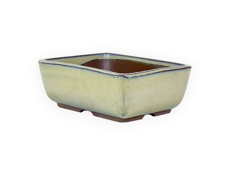Maceta rectangular de gres esmaltado para Bonsái japonés - 14 cm