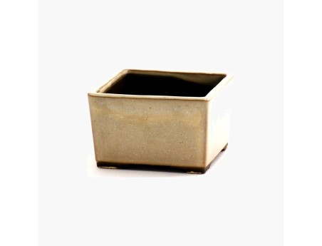 Maceta cuadrada gres esmaltado para Bonsái japonés - 10 cm