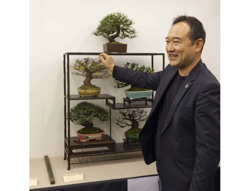 Visita guiada al Festival del Bonsái Shohin 2026 | Maestro Hiroki Miura