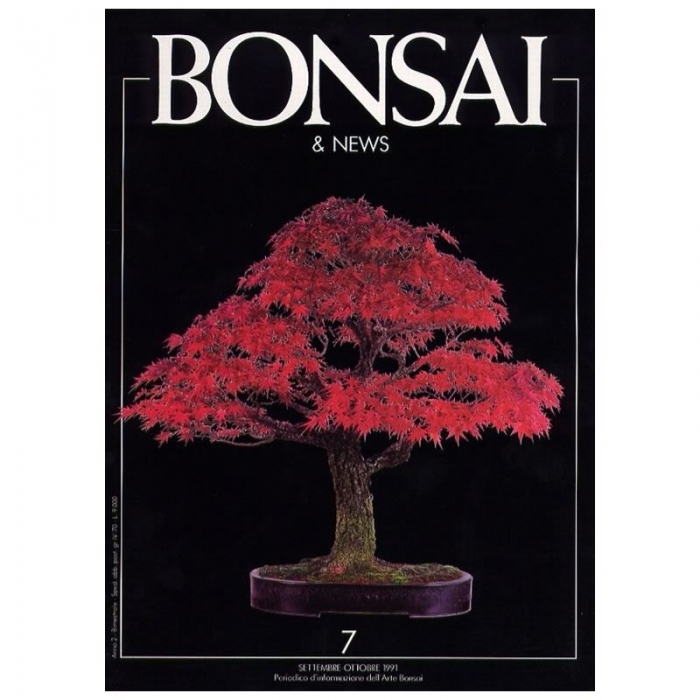 BONSAI & news n.   7 - Settembre-Ottobre 1991
