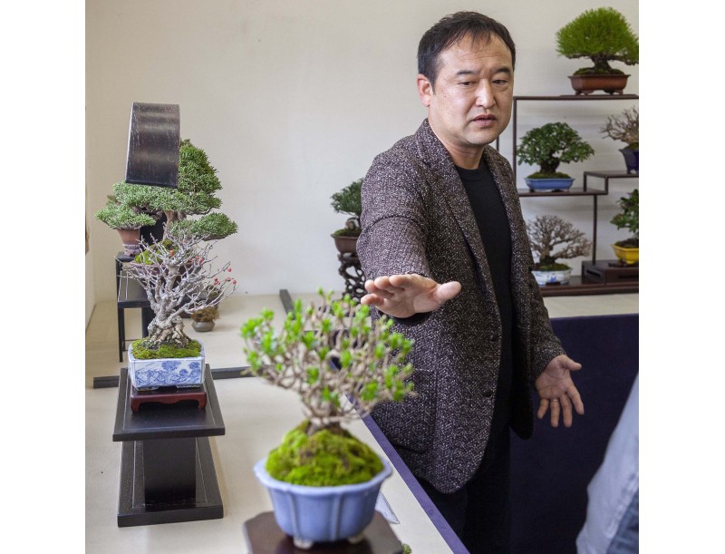 Guided tour of the Bonsai Shohin Festival 2026 | Master Hiroki Miura