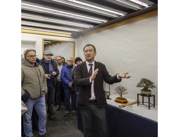 Visite guidée du Bonsai Shohin Festival 2026 | Maître Hiroki Miura