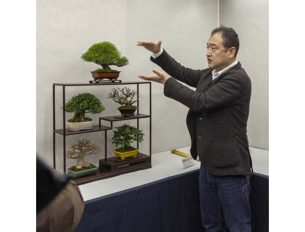 Führung durch das Bonsai Shohin Festival 2026 | Meister Hiroki Miura