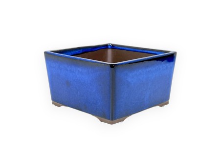 Maceta cuadrada gres esmaltado para Bonsái japonés - 12 cm