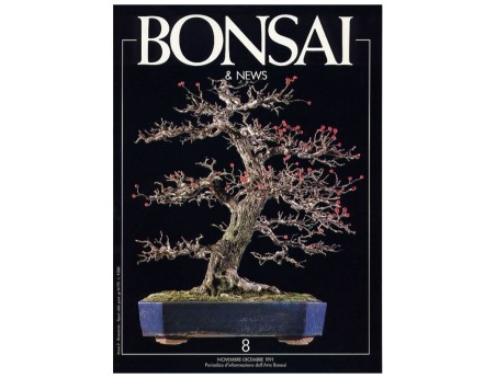 BONSAI & news n.   8 - Novembre-Dicembre 1991