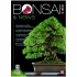 BONSAI & news 174 - Luglio-Agosto 2019