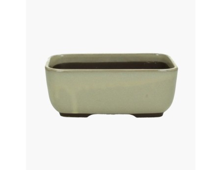 Rectangular glazed stoneware Japanese Bonsai pot - 21,5 cm