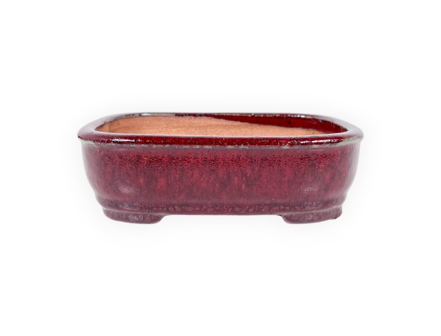 Vaso Bonsai Cinese Rettangolare in Grès Smaltato - 16 cm