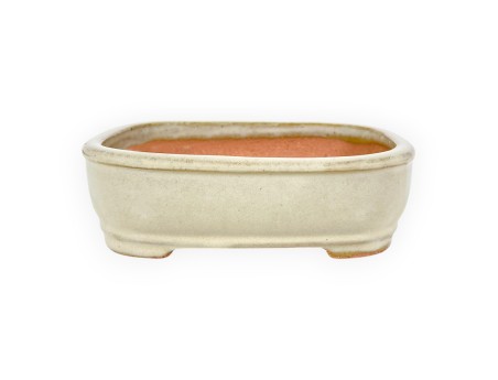 Vaso Bonsai Cinese Rettangolare in Grès Smaltato - 16 cm