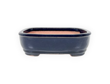 Rectangular glazed stoneware Chinese Bonsai pot - 16 cm