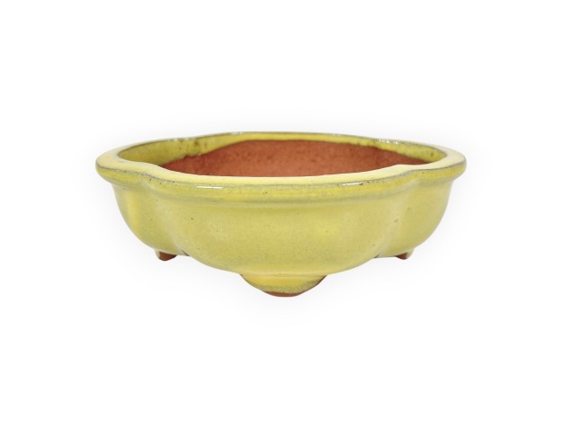 Pot à nuage en grès émaillé pour bonsaïs chinois - 16 cm